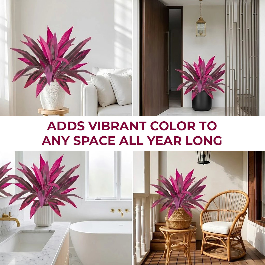đ„Last Day 50% OFFđ„Artificial Dragonâs Blood Tree Plants