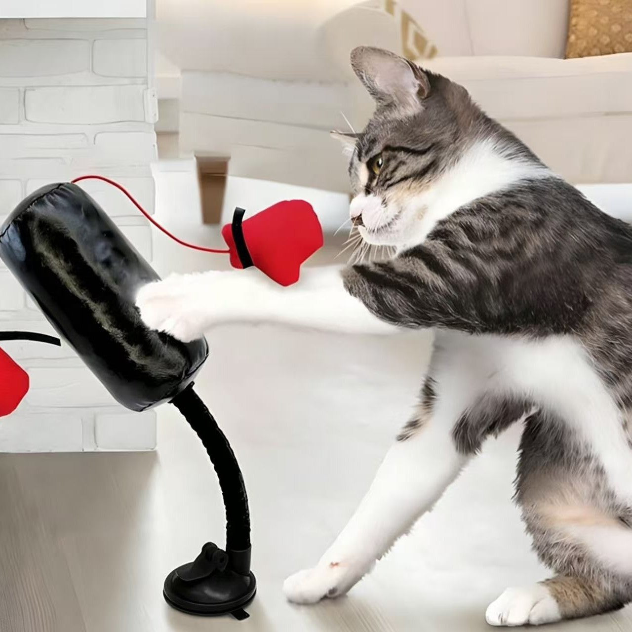 Entertainment toy: cat boxing stand