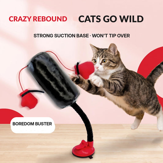 Entertainment toy: cat boxing stand