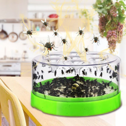 usable non-electric fly trap