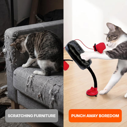 Entertainment toy: cat boxing stand