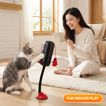 Entertainment toy: cat boxing stand