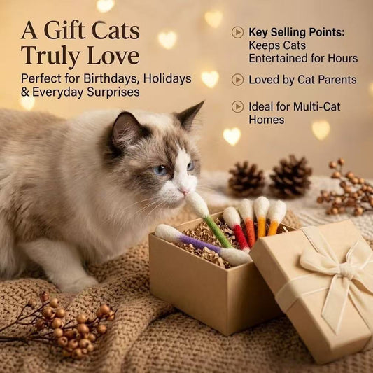 Creative, Personalized, and Practical Cat Toys with Catnip – Extra-Large Cotton Swabs for Cats