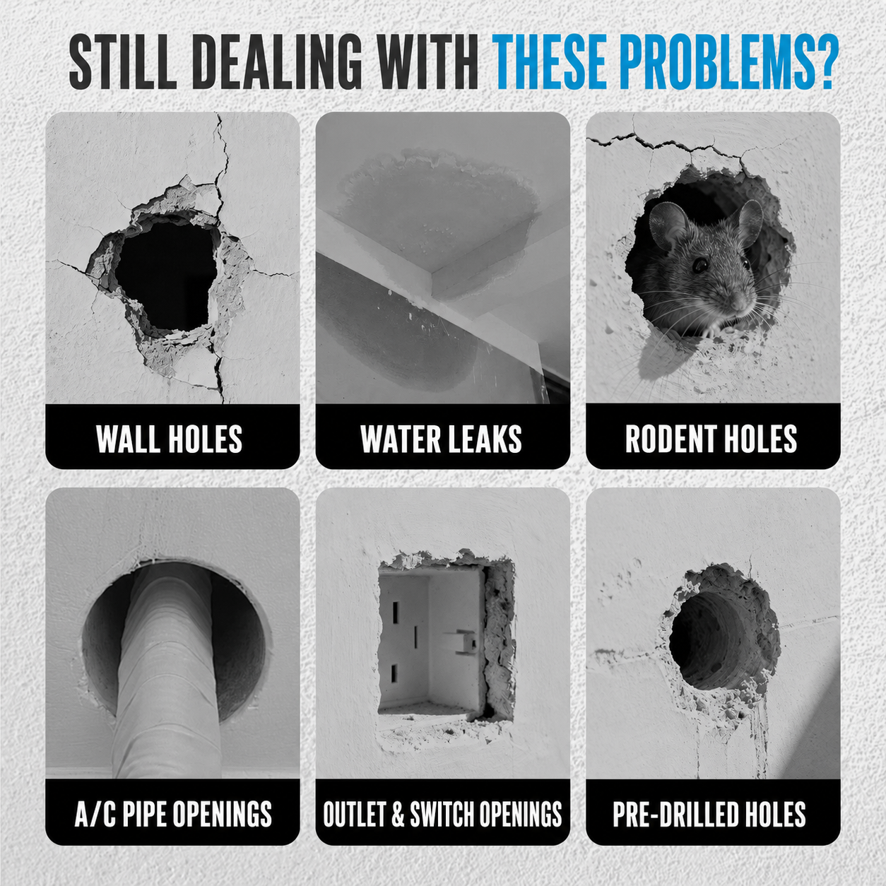 Wall holes, water leaks, rodent holes, pipe openings, outlet openings, and drilled holes