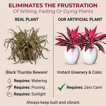 🔥Last Day 50% OFF🔥Artificial Dragon’s Blood Tree Plants