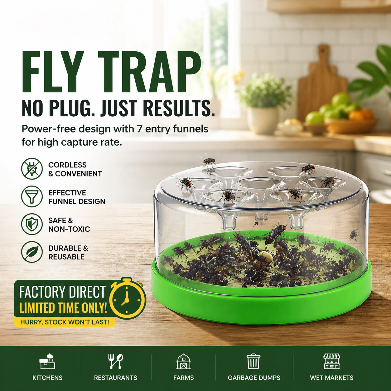 usable non-electric fly trap