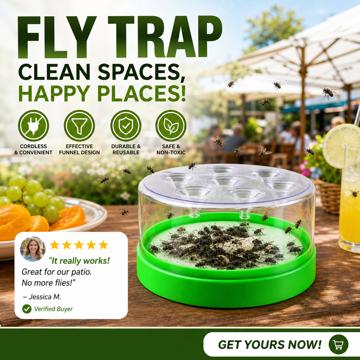 usable non-electric fly trap