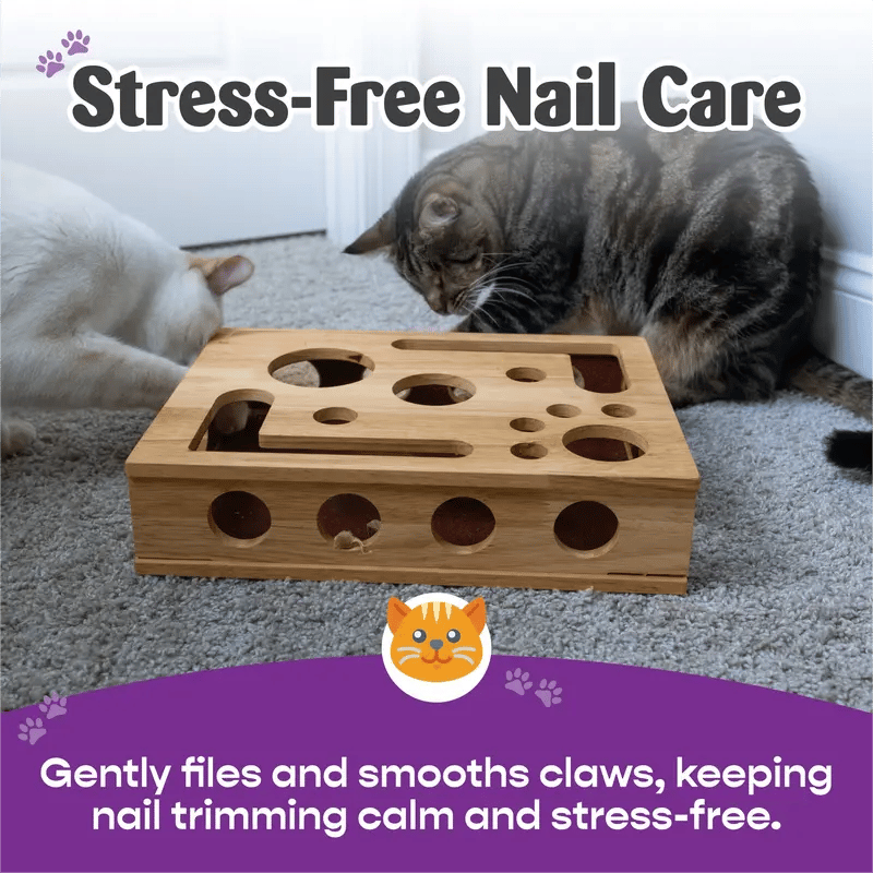 Last Day 49%OFF 🎁🎄Cat Scratch Puzzle Enrichment Box: Nail File Stress Free Alternative to Clippers and Grinders