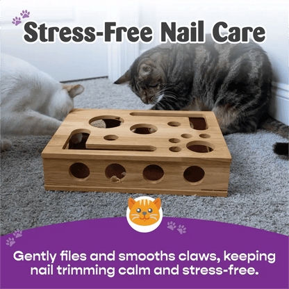 Last Day 49%OFF 🎁🎄Cat Scratch Puzzle Enrichment Box: Nail File Stress Free Alternative to Clippers and Grinders